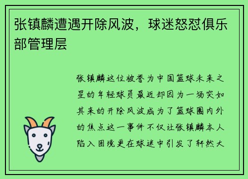 张镇麟遭遇开除风波，球迷怒怼俱乐部管理层